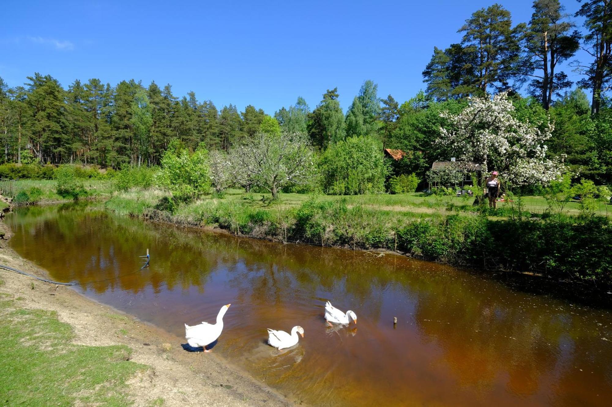 Kallaste Talu- Turismitalu & Holiday Resort Padise Luaran gambar